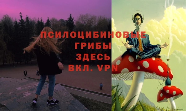 мет Алексин
