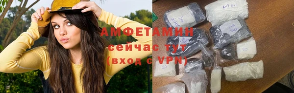 мет Алексин